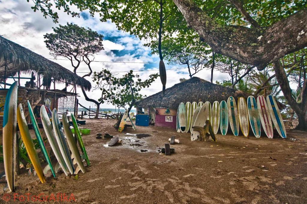 Cabarete Surf Camp Hotel Buitenkant foto