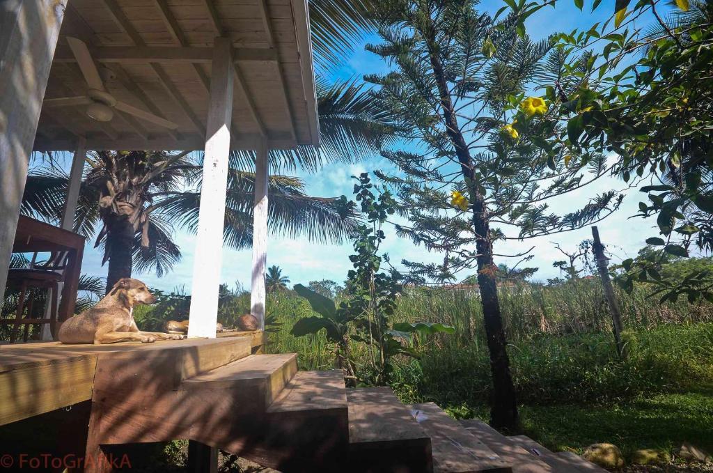 Cabarete Surf Camp Hotel Buitenkant foto
