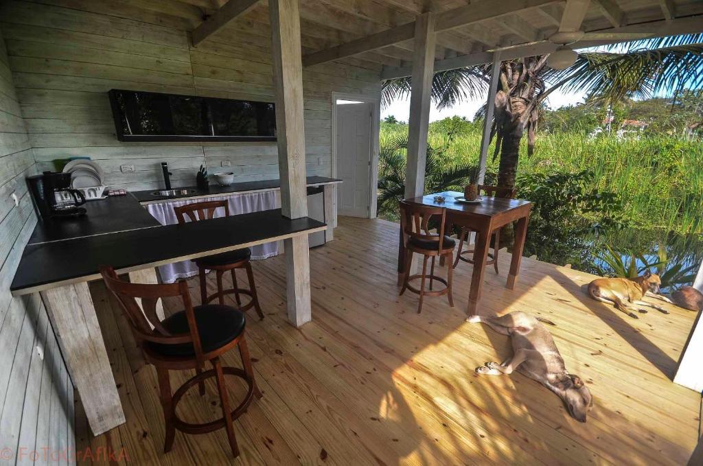 Cabarete Surf Camp Hotel Buitenkant foto
