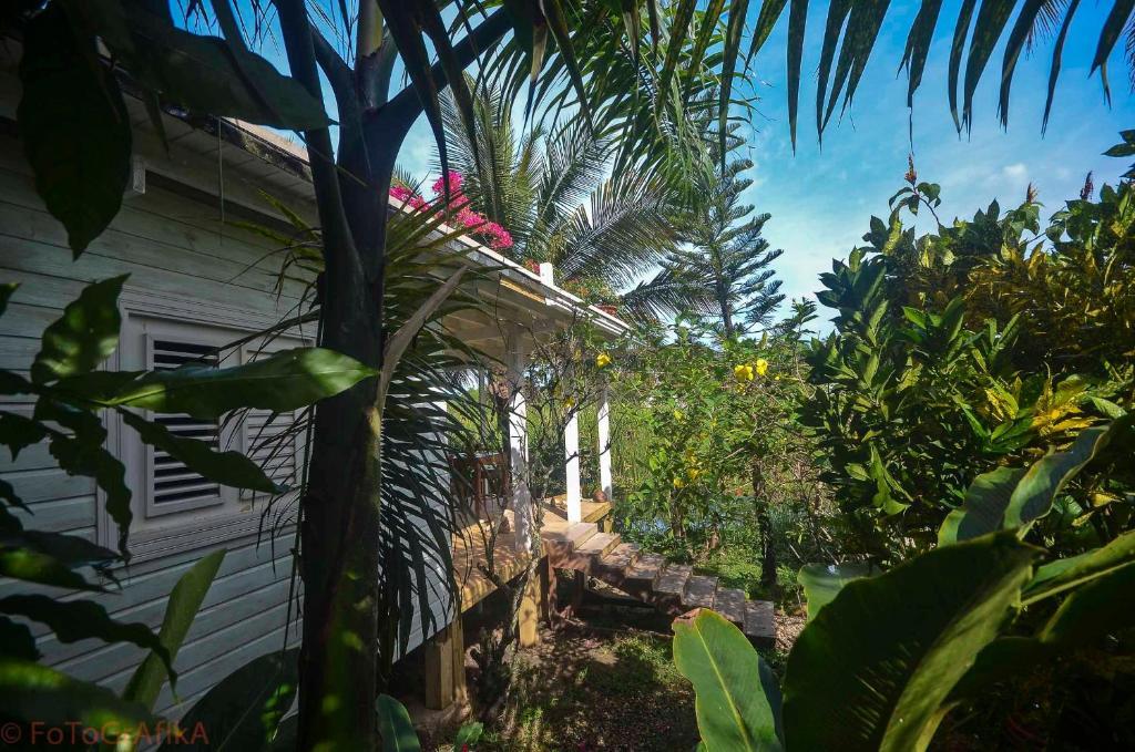 Cabarete Surf Camp Hotel Buitenkant foto