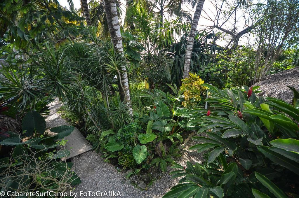 Cabarete Surf Camp Hotel Buitenkant foto