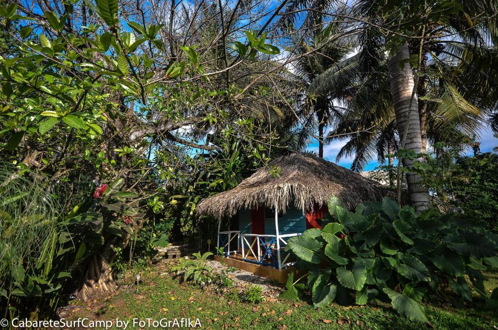Cabarete Surf Camp Hotel Buitenkant foto