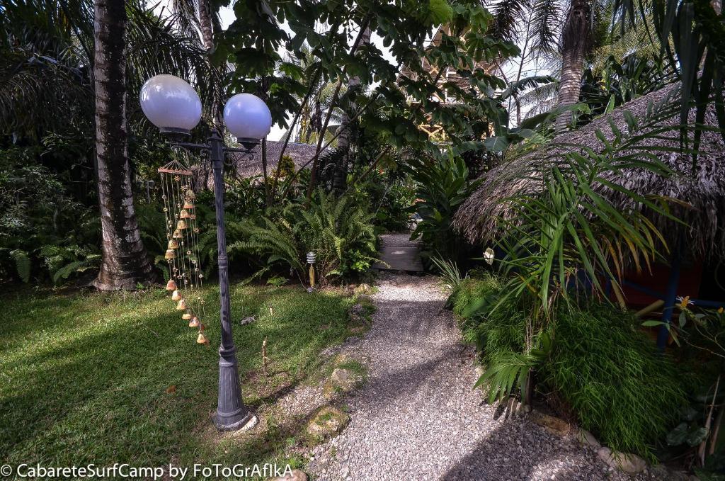Cabarete Surf Camp Hotel Buitenkant foto