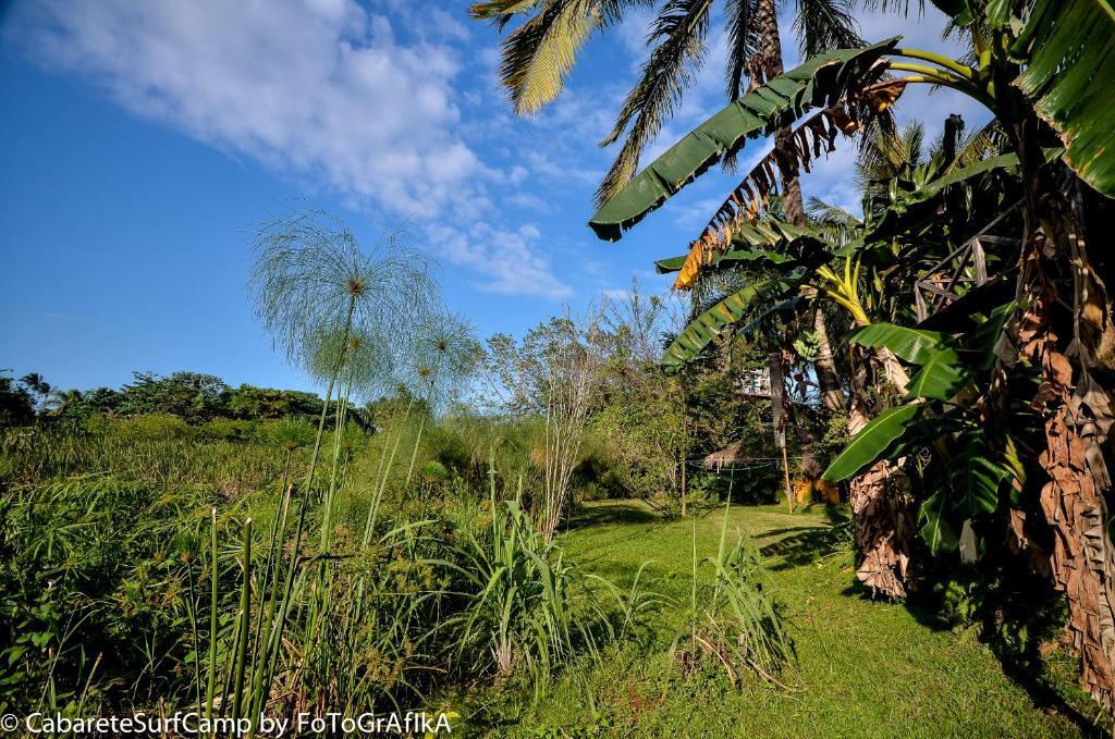 Cabarete Surf Camp Hotel Buitenkant foto