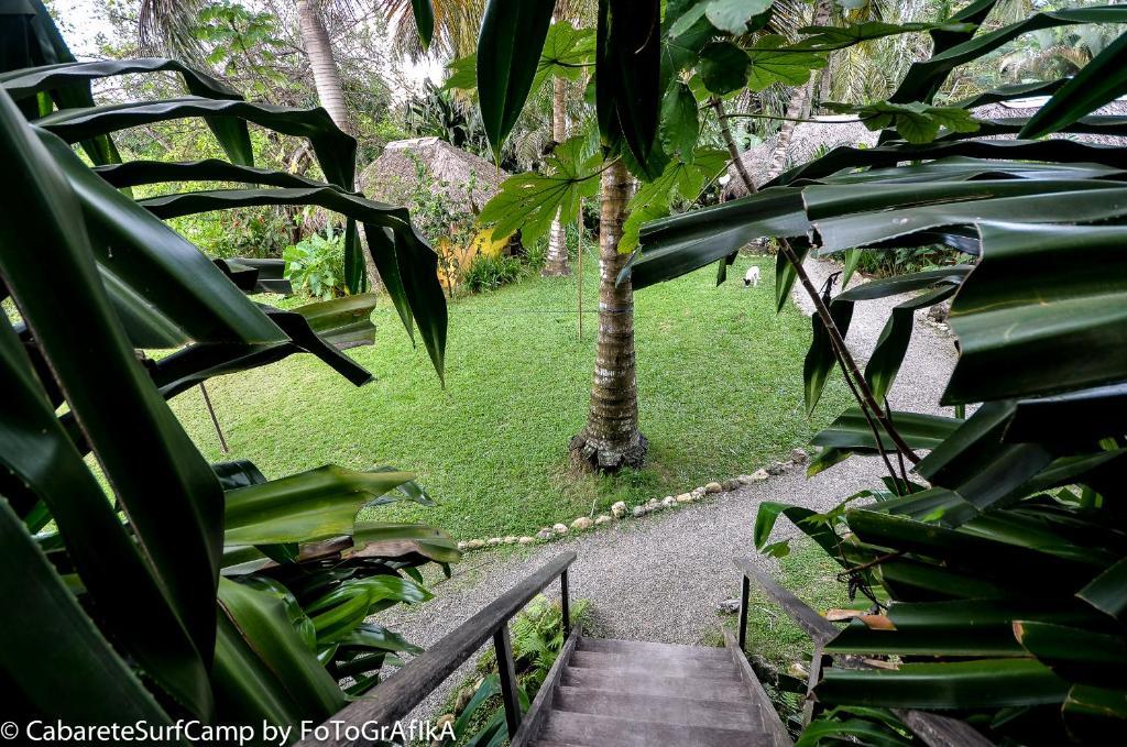 Cabarete Surf Camp Hotel Buitenkant foto
