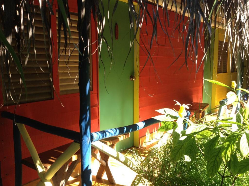 Cabarete Surf Camp Hotel Buitenkant foto