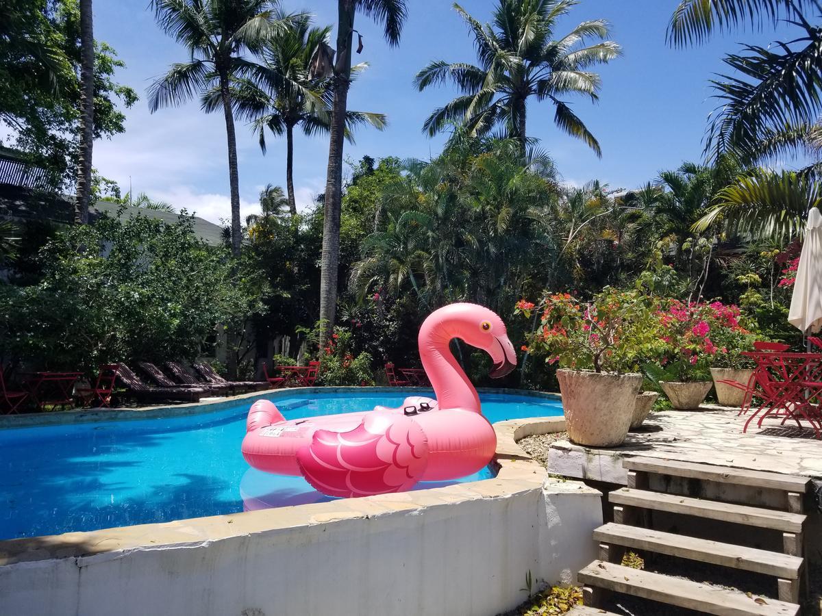 Cabarete Surf Camp Hotel Buitenkant foto