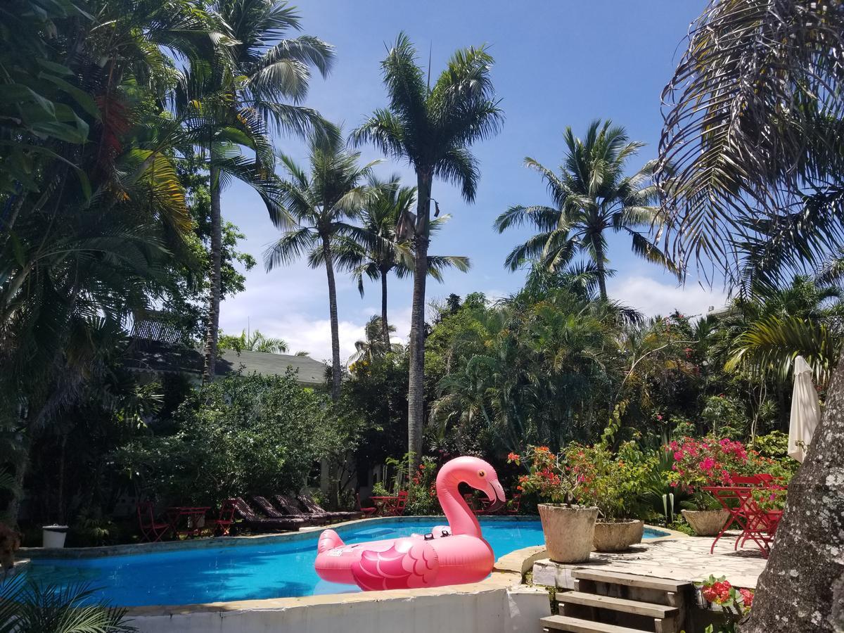 Cabarete Surf Camp Hotel Buitenkant foto