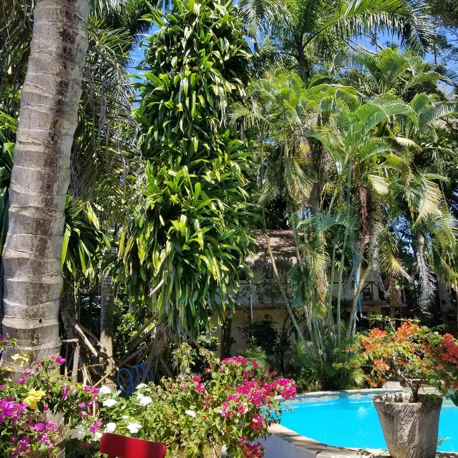 Cabarete Surf Camp Hotel Buitenkant foto