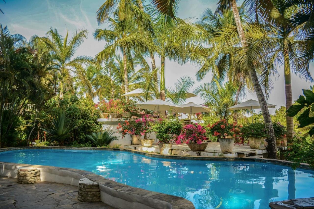 Cabarete Surf Camp Hotel Buitenkant foto